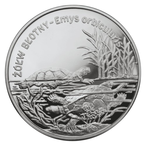 POLSKA: srebrna moneta kolekcjonerska 20 zł / 2002 r. - Zwierzęta Świata – Żółw błotny (łac. Emys orbicularis).  Sklep Numizmatyczny, Warszawa ul. Króla Maciusia 12.         www.sklepnumizmatyczny.eu 