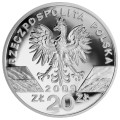 POLSKA: srebrna moneta kolekcjonerska 20 zł / 2009 r. - Zwierzęta Świata – Jaszczurka zielona (łac. Lacerta viridis).  Sklep Numizmatyczny, Warszawa ul. Króla Maciusia 12.         www.sklepnumizmatyczny.eu 