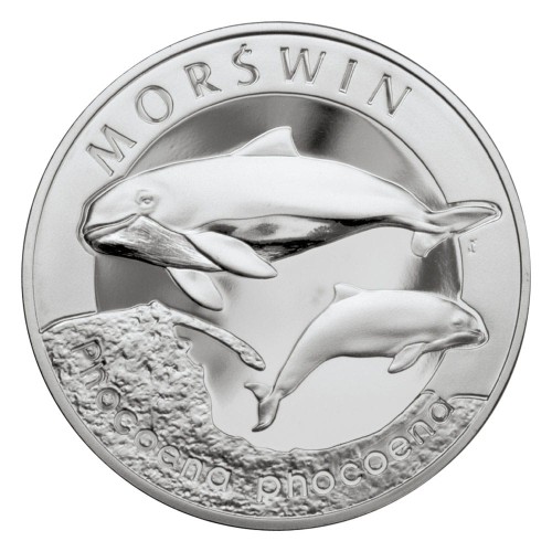 POLSKA: srebrna moneta kolekcjonerska 20 zł / 2004 r. - Zwierzęta Świata – Morświn (łac. Phocoena phocoena). Sklep Numizmatyczny, Warszawa ul. Króla Maciusia 12.         www.sklepnumizmatyczny.eu