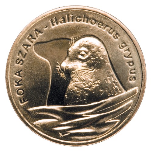 Polska: moneta ze stopu Nordic Gold: 2 zł / 2007 r. - Zwierzęta świata: Foka szara (łac. Halichoerus grypus).        Sklep Numizmatyczny, Warszawa ul. Króla Maciusia 12.               www.sklepnumizmatyczny.eu 