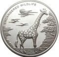 Demokratyczna Republika Konga: moneta kolekcjonerska z serii "Zagrożone zwierzęta": 10 franków / 2007 - Żyrafa.   Sklep Numizmatyczny, Warszawa ul. Króla Maciusia 12.   www.sklepnumizmatyczny.eu
