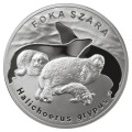 POLSKA: srebrna moneta kolekcjonerska 20 zł / 2007 r. - Zwierzęta Świata – Foka szara (łac. Halichoerus grypus).  Sklep Numizmatyczny, Warszawa ul. Króla Maciusia 12.         www.sklepnumizmatyczny.eu 