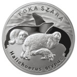 20 zł / 2007 r. - Foka szara