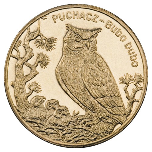 Polska: moneta ze stopu Nordic Gold: 2 zł / 2005 r. - Zwierzęta świata: Puchacz (łac. Bubo bubo).        Sklep Numizmatyczny, Warszawa ul. Króla Maciusia 12.               www.sklepnumizmatyczny.eu 