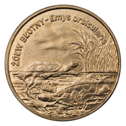 Polska: moneta ze stopu Nordic Gold: 2 zł / 2002 r. -  Zwierzęta świata: Żółw błotny - Emys orbicularis.        Sklep Numizmatyczny, Warszawa ul. Króla Maciusia 12.               www.sklepnumizmatyczny.eu