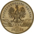 Polska: moneta ze stopu golden nordic: 2 zł / 1996 r. - Zwierzęta świata: Jeż (łac. Erinaceus europaeus). Sklep Numizmatyczny, Warszawa ul. Króla Maciusia 12. www.sklepnumizmatyczny.eu 