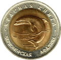 ROSJA: 50 rubli / 1993 r. - Czerwona Księga: Delfin Czarnomorski.  Sklep Numizmatyczny,   Warszawa ul. Króla Maciusia 12.  www.sklepnumizmatyczny.eu