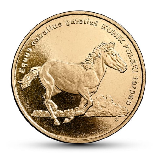 Polska: moneta ze stopu Nordic Gold: 2 zł / 2014 r. - Zwierzęta Świata – Konik Polski. Sklep Numizmatyczny, Warszawa ul. Króla Maciusia 12. www.sklepnumizmatyczny.eu 