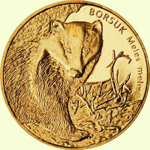 Polska: moneta ze stopu Nordic Gold:   2 zł / 2011 r. - Zwierzęta świata – borsuk Meles meles. Sklep Numizmatyczny, Warszawa ul. Króla Maciusia 12. www.sklepnumizmatyczny.eu
