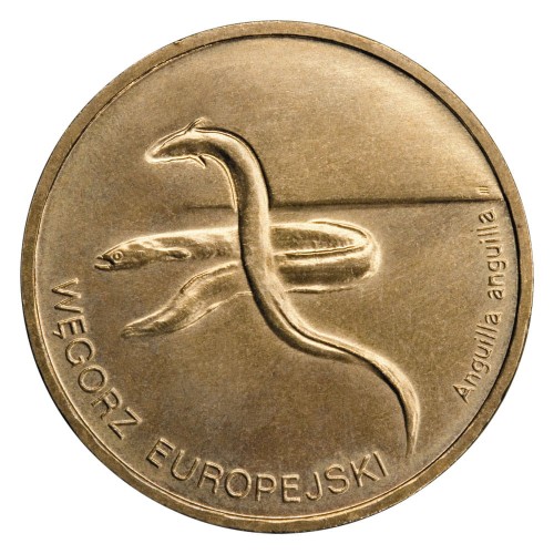 Polska: moneta ze stopu Nordic Gold: 2 zł / 2003 r. - Zwierzęta świata: Węgorz europejski (łac. Anguilla anguilla).        Sklep Numizmatyczny, Warszawa ul. Króla Maciusia 12.               www.sklepnumizmatyczny.eu 